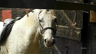 Slutty dirty sex in a barn for kinky farm skanks