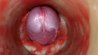 Sperm without spunk. Excellent internal web camera. 4K