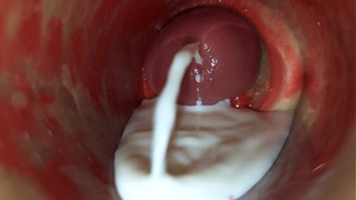 Web camera Inside Deep Vagina Captures Large Ejaculation of Cum ASMR